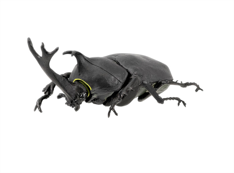 Beetle & Stag beetle Hunter F-toys confect Beetle & Stag beetle (1 Single Blind Box)