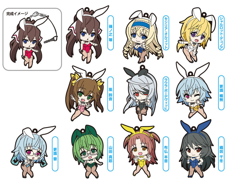 IS <Infinite Stratos> FREEing IS <Infinite Stratos> Trading Rubber Straps (Box set of 10 Characters)