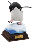 Nature Technicolor South Pole Special Edition (1 Random)