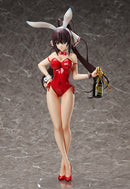 IS <Infinite Stratos> FREEing Houki Shinonono: Bare Leg Bunny Ver.