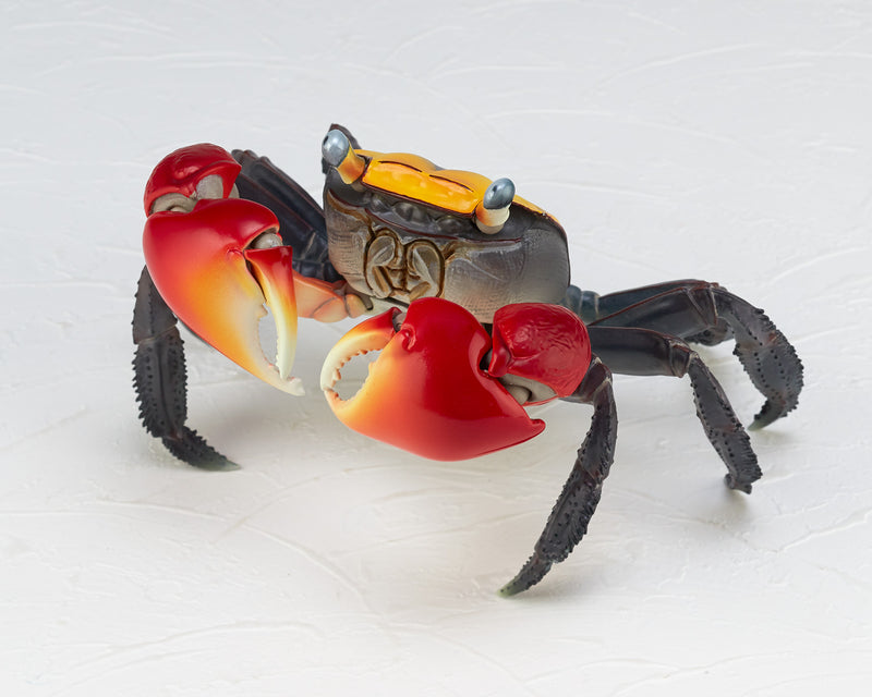 REVOGEO Kaiyodo Red-Clawed Crab