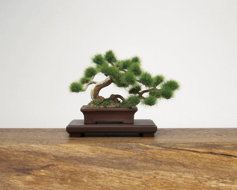 The Bonsai. PLATZ The Bonsai. Plastic Model Kit 1