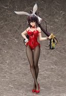 IS <Infinite Stratos> FREEing Houki Shinonono: Bunny Ver.