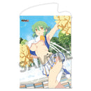 Senran Kagura NewWave G Burst HOBBY STOCK Tapestry Hikage Cheerleading Ver.