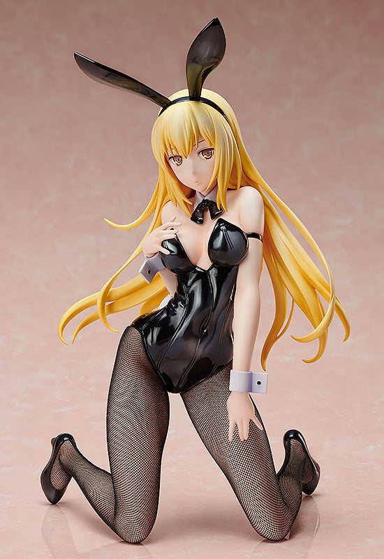 Is It Wrong to Try to Pick Up Girls in a Dungeon?: Sword Oratoria FREEing Ais Wallenstein: Bunny Ver.(re-run)