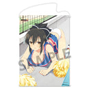 Senran Kagura NewWave G Burst HOBBY STOCK Tapestry Ikaruga Dripping Wet Ver.Asuka Cheerleading Ver.