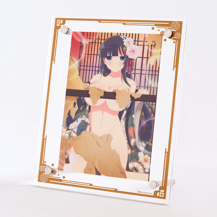 SENRAN KAGURA New Wave G Burst HOBBY STOCK SENRAN KAGURA New Wave G Burst Acrylic Frame & Postcard Set: Ikaruga