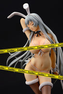 IkkiTousen Extravaganza Epoch ORCATOYS Choun Shiryu Bunny special