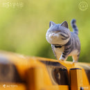 Nekotama ACTOYS Nekotama (1 Random Blind Box)