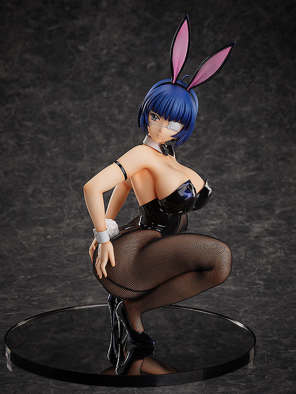 Shin Ikki Tousen FREEing Ryomou Shimei: Bunny Ver. 2nd