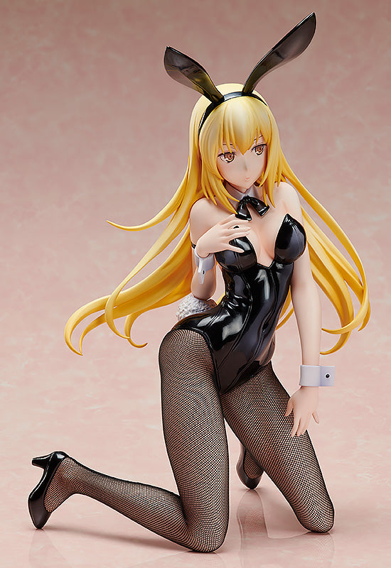 Is It Wrong to Try to Pick Up Girls in a Dungeon?: Sword Oratoria FREEing Ais Wallenstein: Bunny Ver.(re-run)