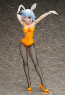 IS <Infinite Stratos> FREEing Tatenashi Sarashiki: Bunny Ver.