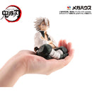 Demon Slayer Kimetsu no Yaiba MEGAHOUSE G.E.M. Series  Palm size Shinazugawa-san