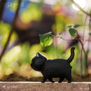 Nekotama ACTOYS Nekotama (1 Random Blind Box)