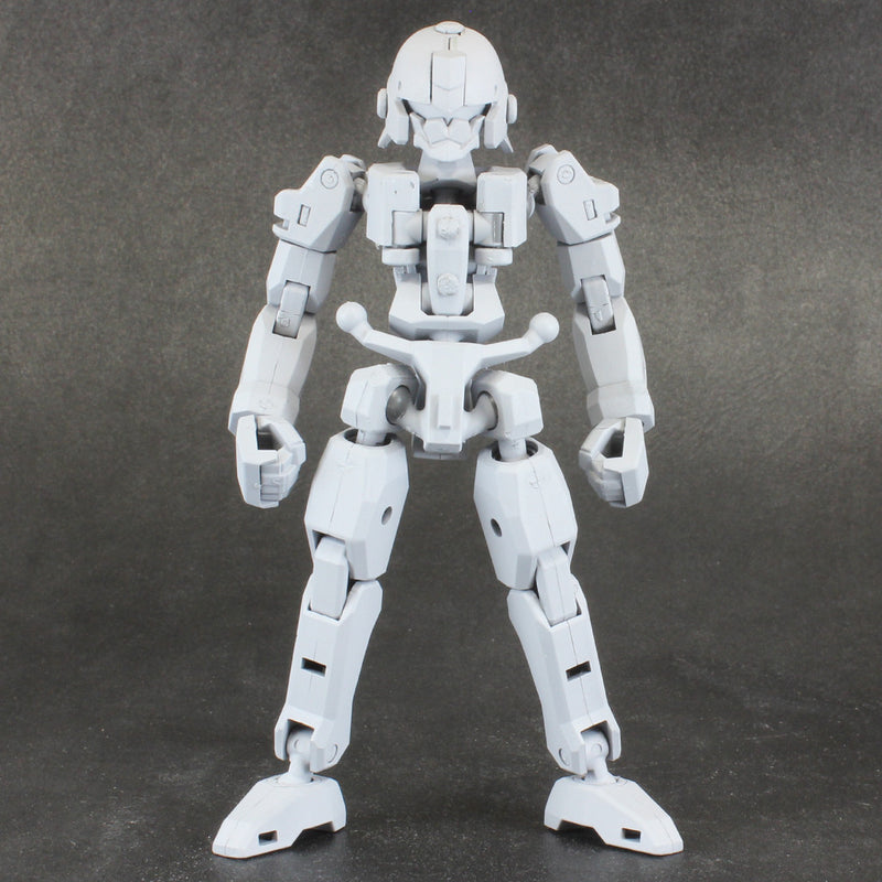 PLA-ACT OPTION SERIES PLUM PLA-ACT OPTION SERIES06：FRAME UNIT