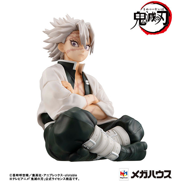 Demon Slayer Kimetsu no Yaiba MEGAHOUSE G.E.M. Series  Palm size Shinazugawa-san