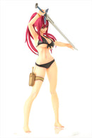 FAIRY TAIL OrcaToys Erza Scarlet: Swimwear Gravure_Style