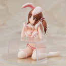 THE IDOLM@STER CINDERELLA GIRLS ALUMINA Airi Totoki: Princess Bunny After Special Training Ver.