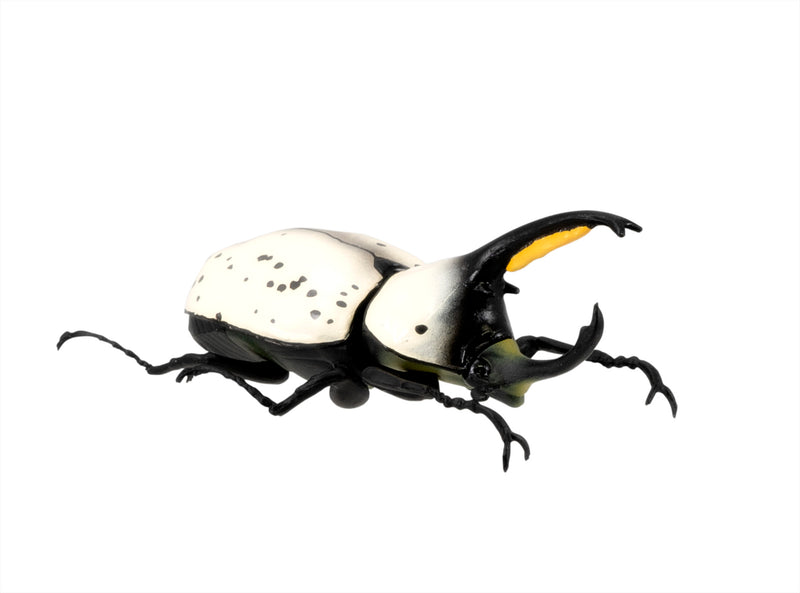 Beetle & Stag beetle Hunter F-toys confect Beetle & Stag beetle (1 Single Blind Box)