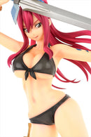 FAIRY TAIL OrcaToys Erza Scarlet: Swimwear Gravure_Style