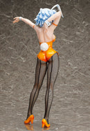 IS <Infinite Stratos> FREEing Tatenashi Sarashiki: Bunny Ver.