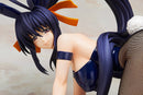 High School DxD NEW FREEing Akeno Himejima Bunny Ver.(re-run)