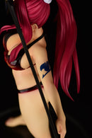 FAIRY TAIL ORCATOYS Erza Scarlet  Swim　Ｗｅａｒ Gravure_Style/ver.FIRE