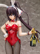 IS <Infinite Stratos> FREEing Houki Shinonono: Bunny Ver.