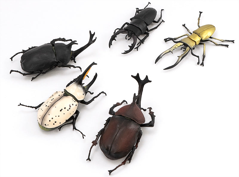 Beetle & Stag beetle Hunter F-toys confect Beetle & Stag beetle (Set of 10 Box)