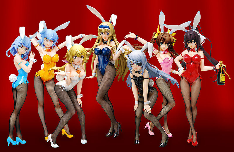 IS 〈Infinite Stratos〉 FREEing Kanzashi Sarashiki: Bunny Ver.