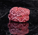 Teenage Mutant Ninja Turtles GOOD SMILE COMPANY Krang