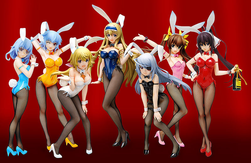 IS <Infinite Stratos> FREEing Charlotte Dunois: Bunny Ver.