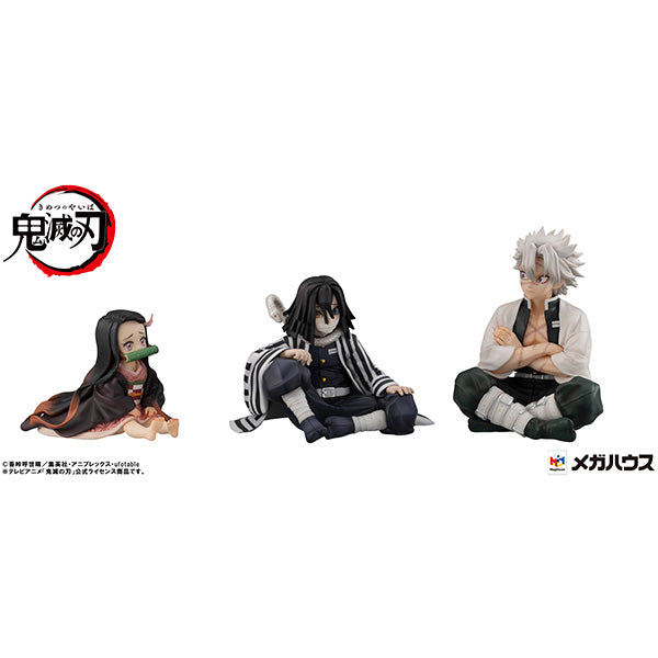 Demon Slayer Kimetsu no Yaiba MEGAHOUSE G.E.M. Series  Palm size Shinazugawa-san