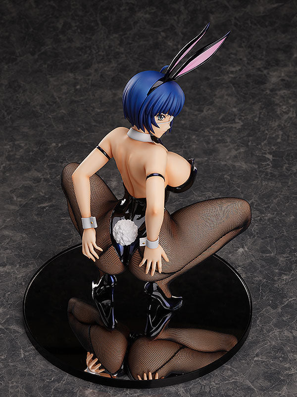 Shin Ikki Tousen FREEing Ryomou Shimei: Bunny Ver. 2nd