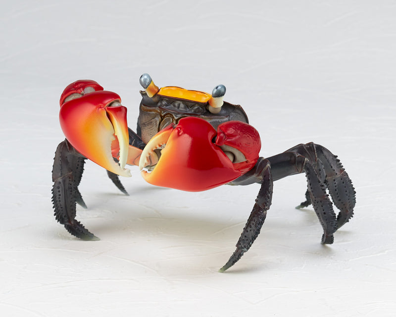 REVOGEO Kaiyodo Red-Clawed Crab