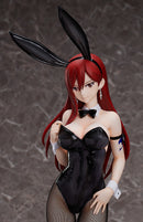 FAIRY TAIL FREEing Erza Scarlet: Bunny Ver.