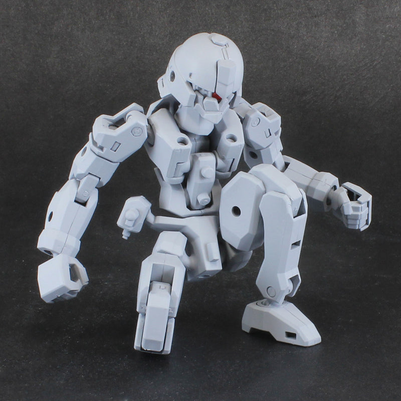 PLA-ACT OPTION SERIES PLUM PLA-ACT OPTION SERIES06：FRAME UNIT