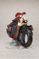 Blassreiter Orchid Seed Snow