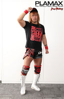 Max Factory PLAMAX MF-48 minimum factory Tetsuya Naito