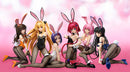To Love-Ru Darkness FREEing Mea Kurosaki Bunny Ver.