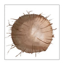 Dioramansion 150 PLM  Dioramansion 150: Wasteland