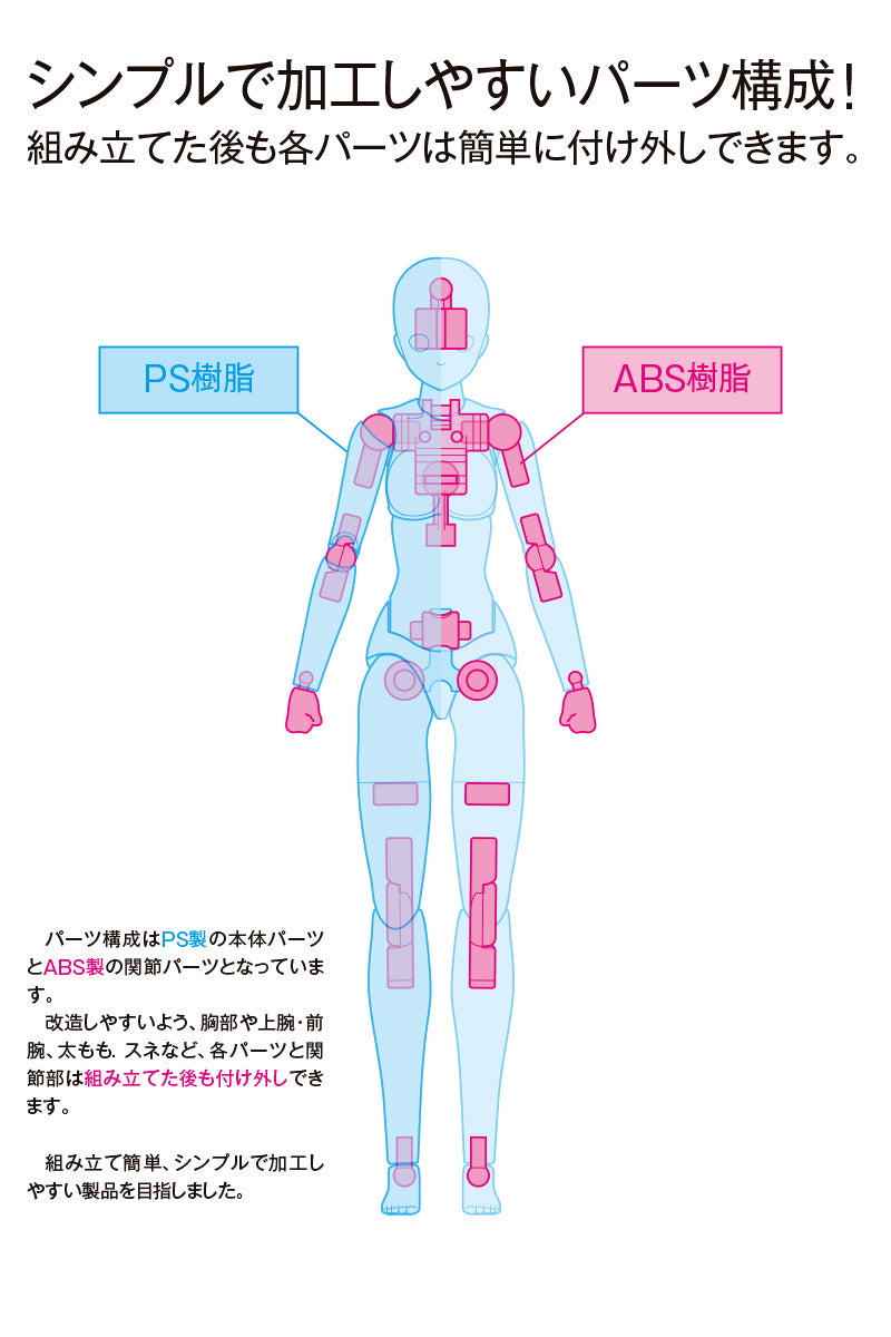 Movable Body WAVE Female Type [Standard] Plastic Model 1/12 Scale