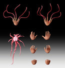 JOJO'S BIZARRE ADVENTURE Part2「Battle Tendency MEDICOS Chozo Kado[Esidisi](re-run)