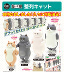 Narabe-tai Seiretsu Kitan Club Cat (1 Random)