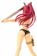FAIRY TAIL OrcaToys Erza Scarlet: Swimwear Gravure_Style