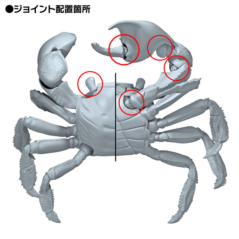 REVOGEO Kaiyodo Red-Clawed Crab