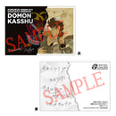 GGG Mobile fighter G Gundam MEGAHOUSE Domon Kash