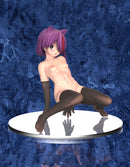 B-FULL (INSIGHT) Suehiro small breast ver.