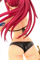 FAIRY TAIL OrcaToys Erza Scarlet: Swimwear Gravure_Style