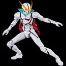 TATSUNOKO HEROES FIGHTINGEAR CASSHAN
